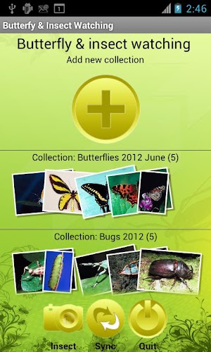 Butterfly & Insect Collector