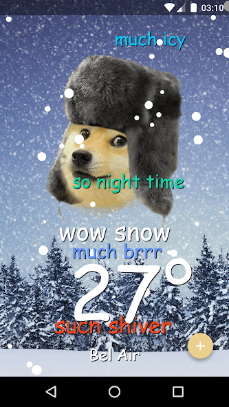 Weather Doge