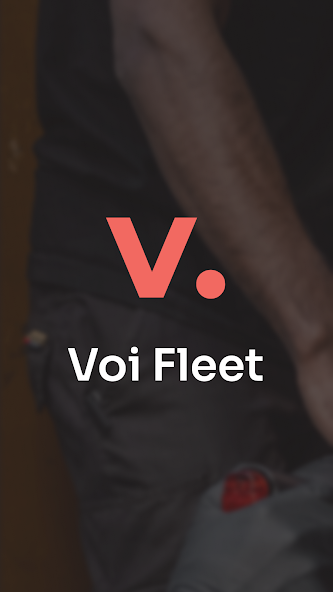 Voi Fleet