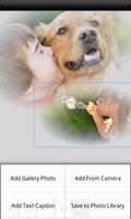 PhotoTangler Collage Maker LT