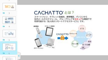 CACHATTO Document Viewer