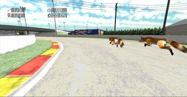 Animal Racing: Fox