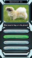 Dog Breed Animal Quiz Game