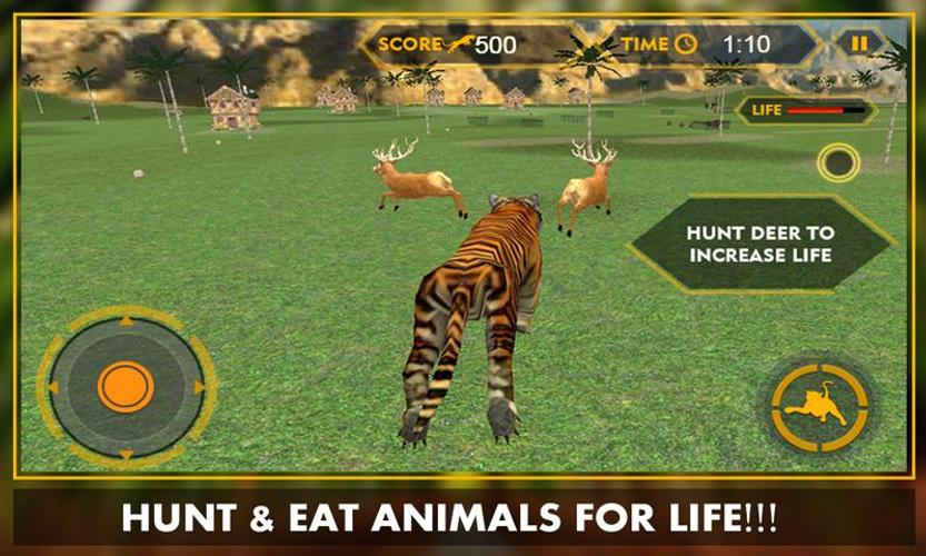 Wild Jungle Tiger Attack Sim