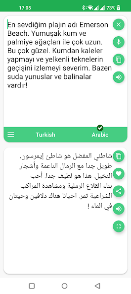 Turkish - Arabic Translator