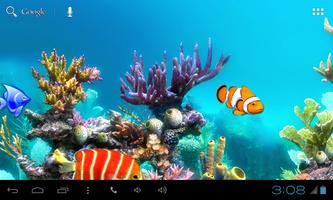 Aquarium Kitkat LiveWallpaper