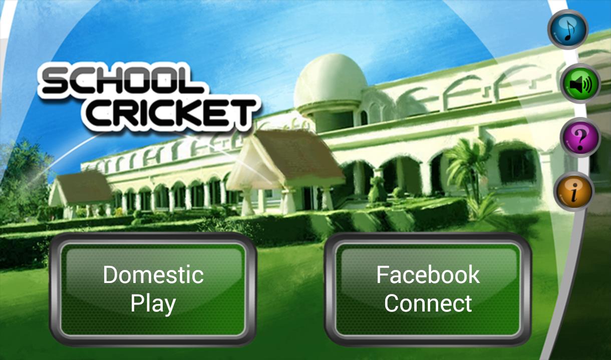 School Cricket