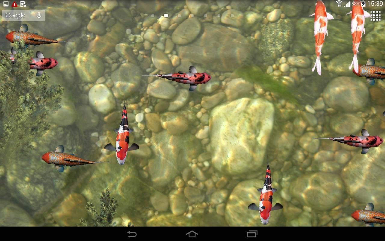 Koi Fish Live Wallpaper 3D