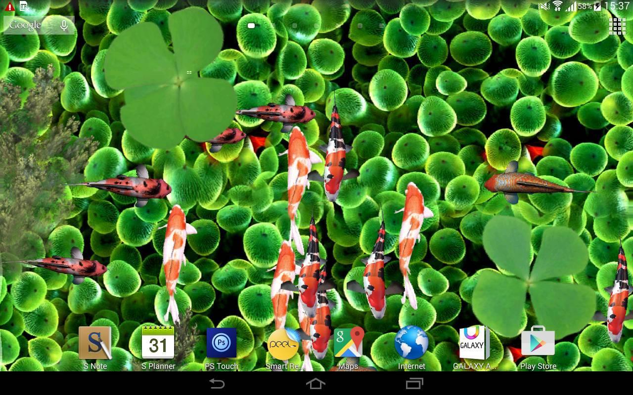 Koi Fish Live Wallpaper 3D