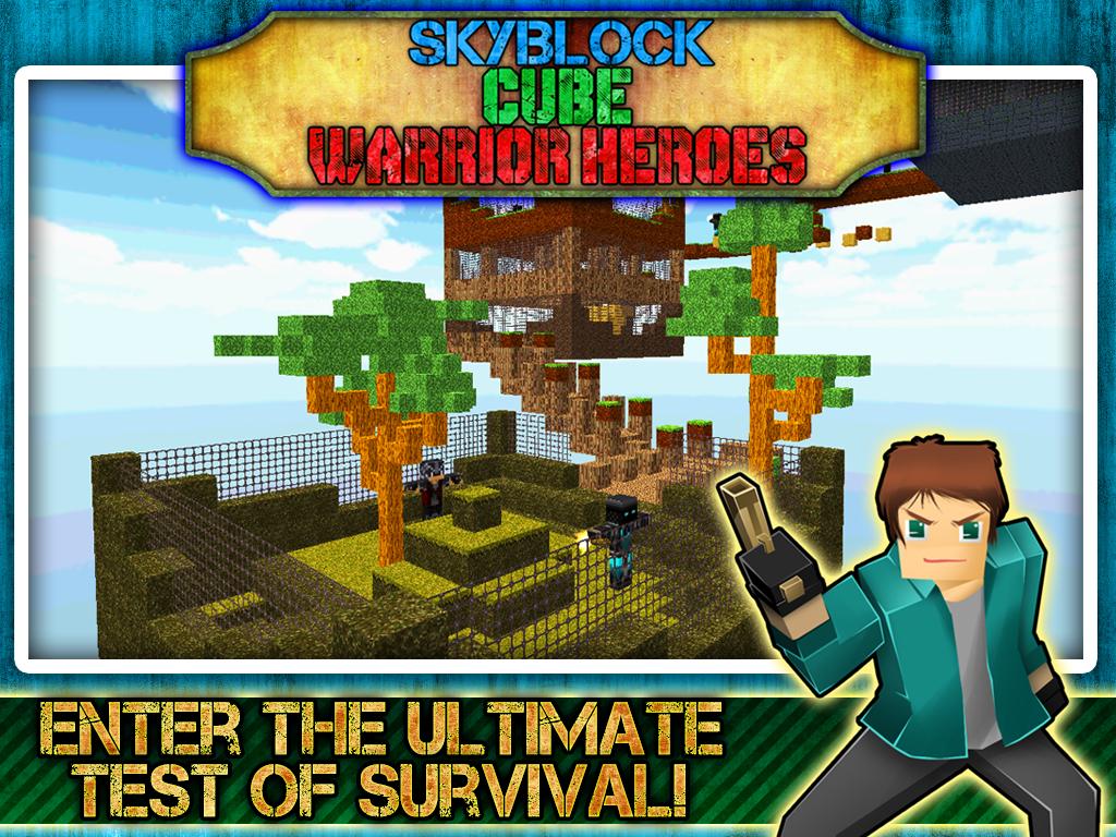 Skyblock Cube Warrior Heroes