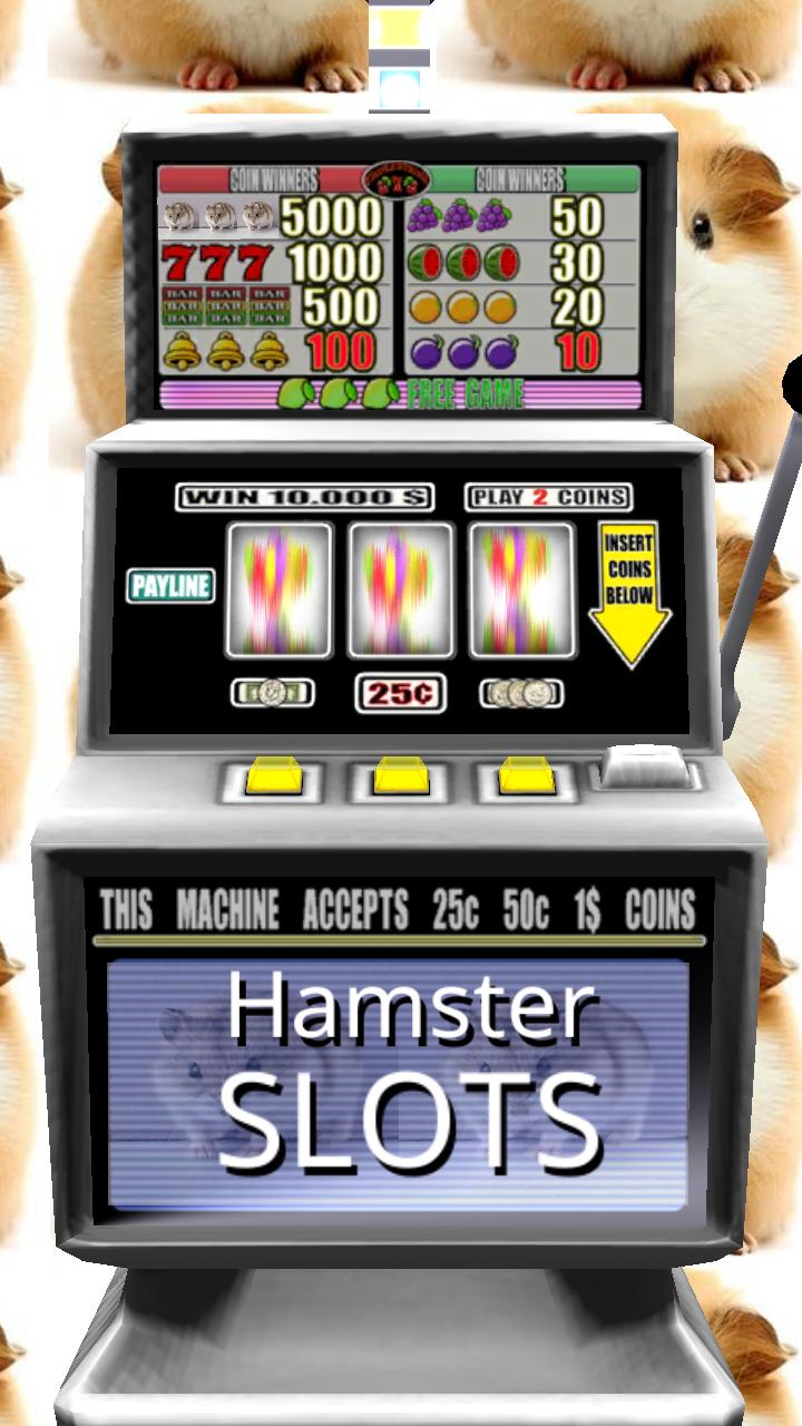 3D Hamster Slots - Free