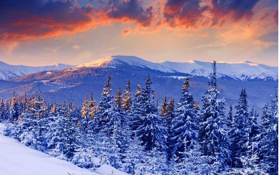 Snowscape Jigsaw Puzzles