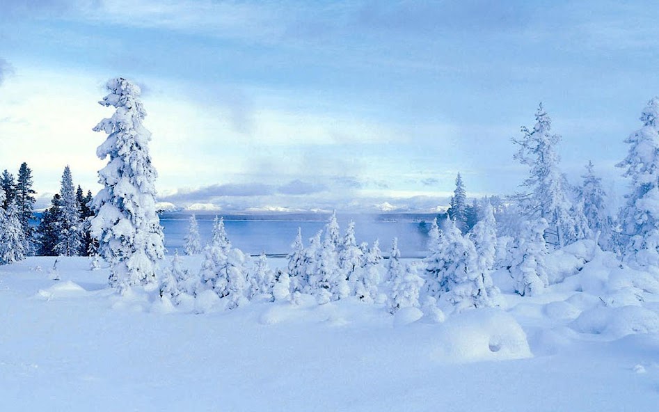 Snowscape Jigsaw Puzzles