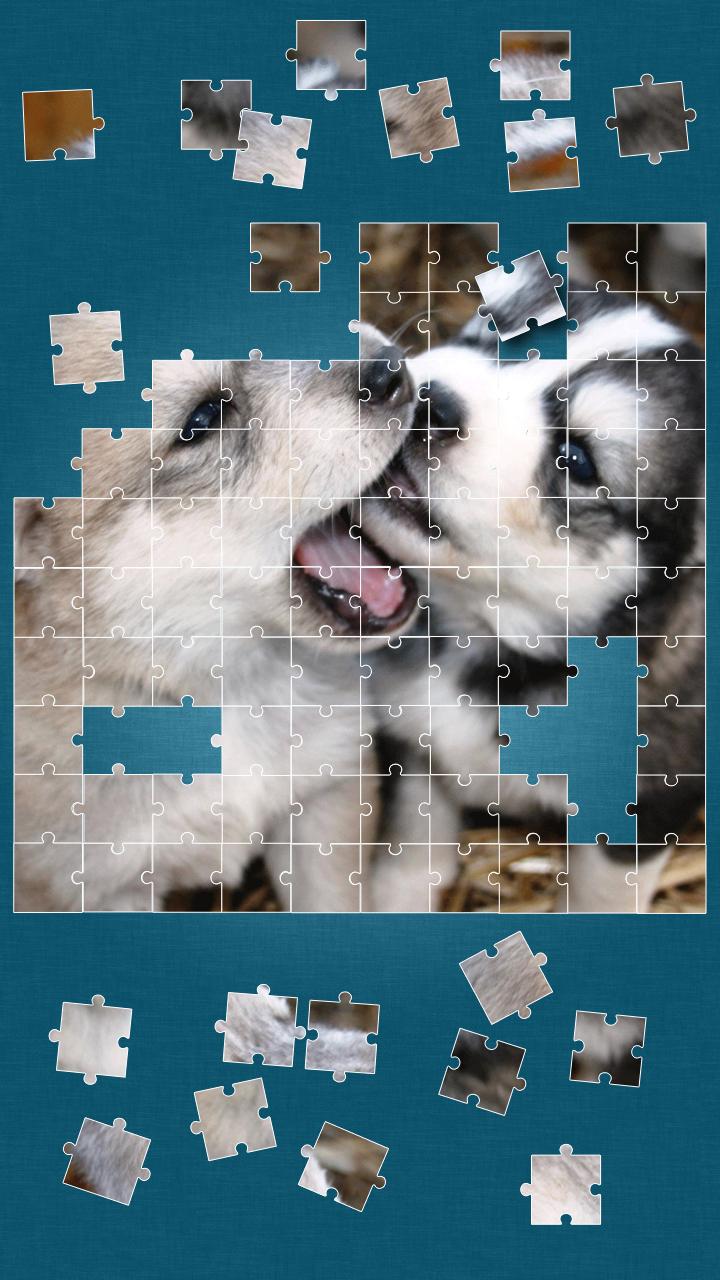 Cute Dogs Jigsaw Puzzle