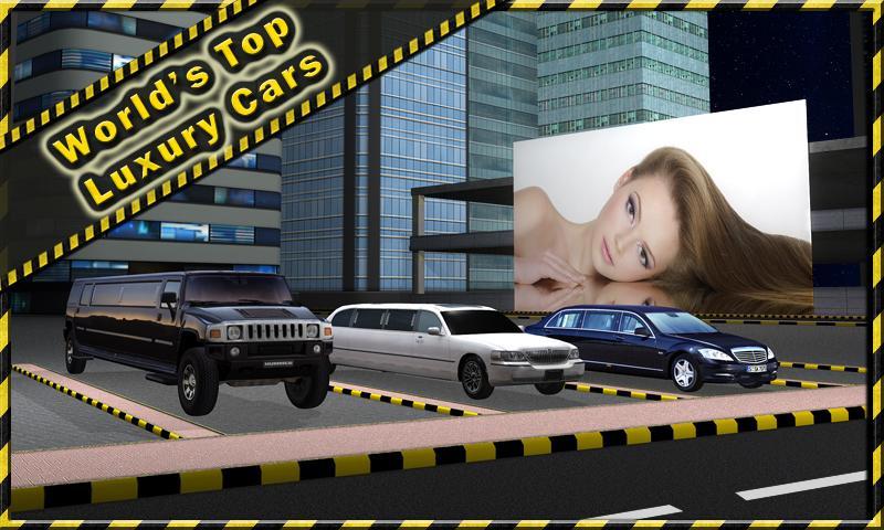 Limousine Parking 3D