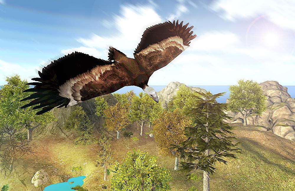 Vulture Attack Simulator