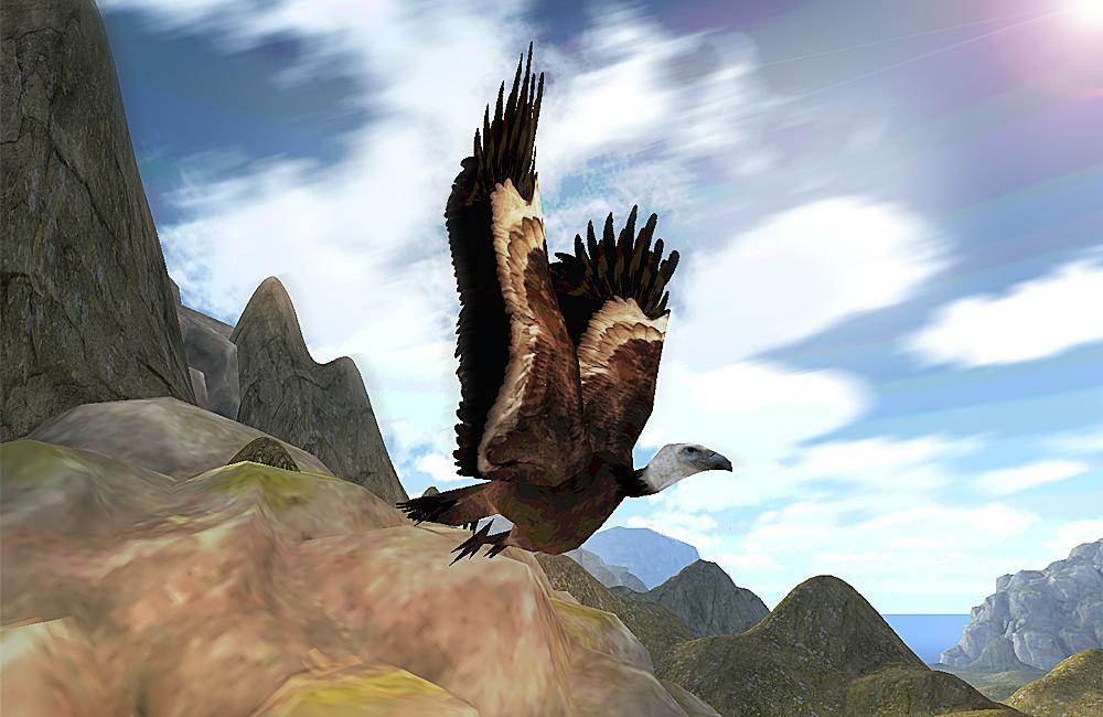 Vulture Attack Simulator