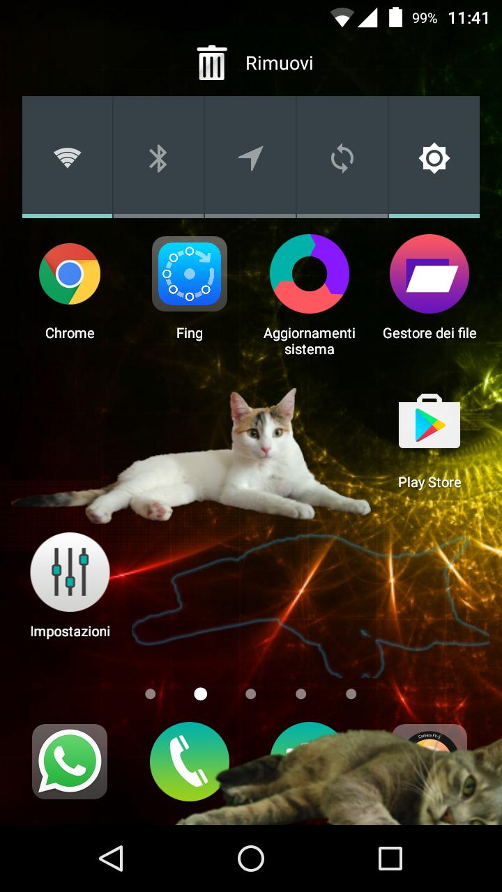 Zenka the cat widget