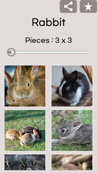 Jigsaw Puzzle: Rabbit