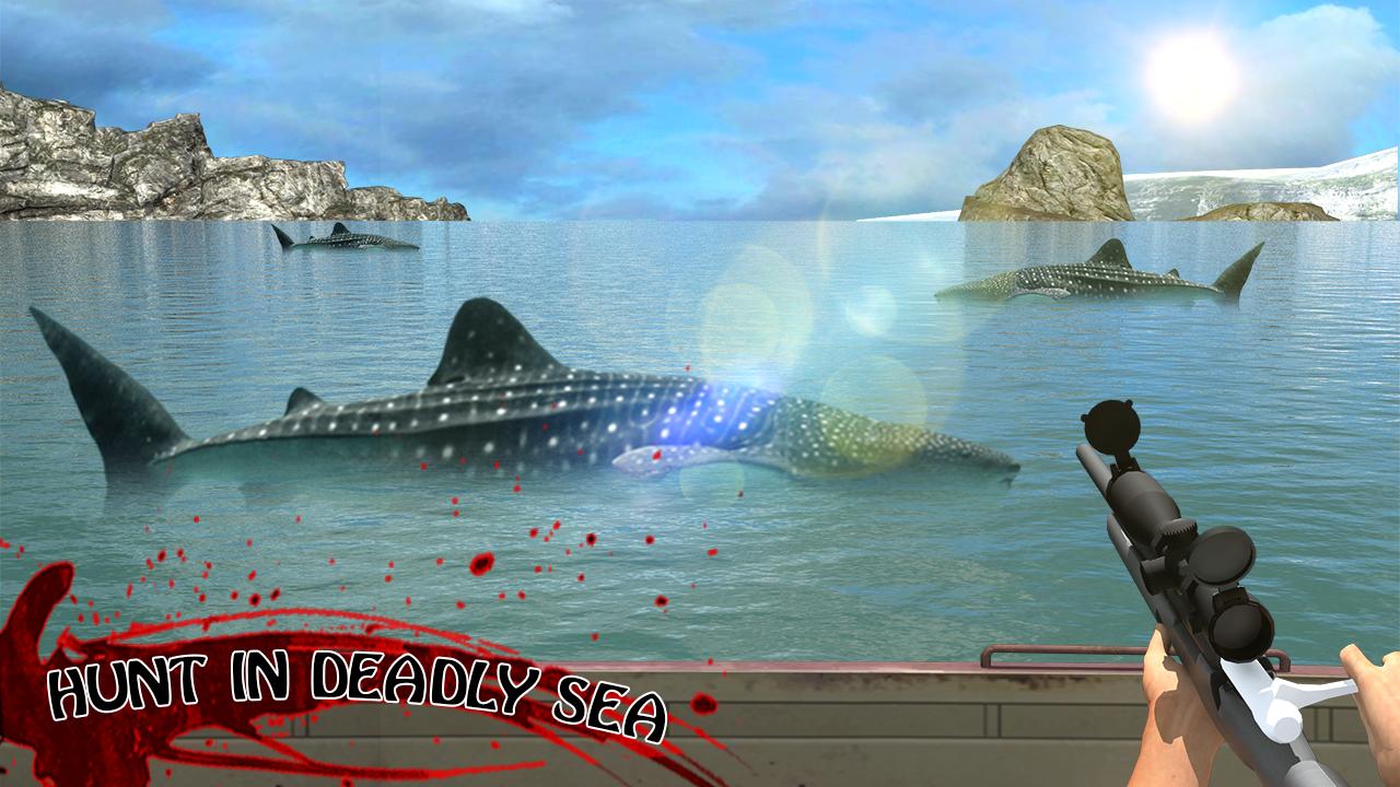 Kill the Whale Shark