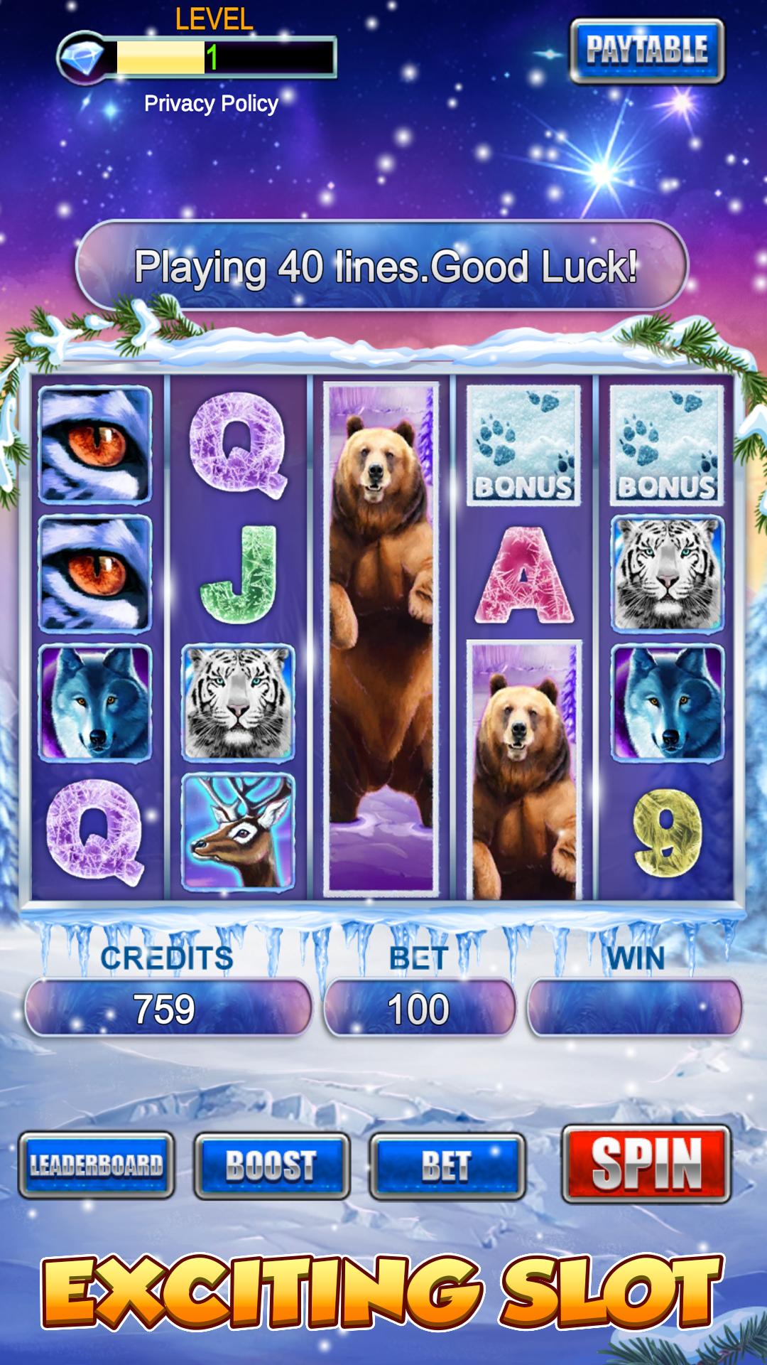 Slot Machine: Bear Slots