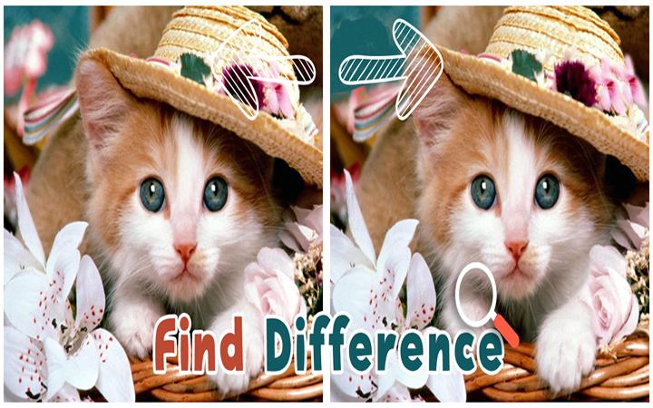 Find 5 Difference : Cats