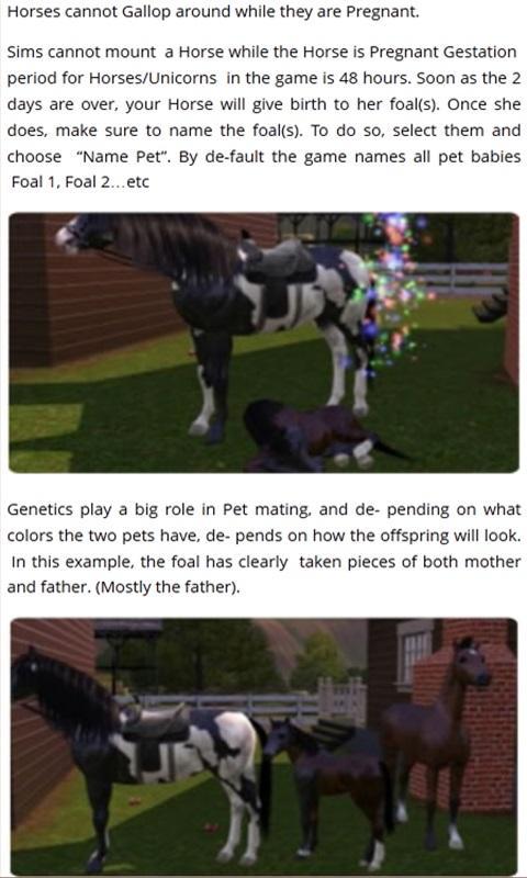 Best Guide For The Sims 3 Pets