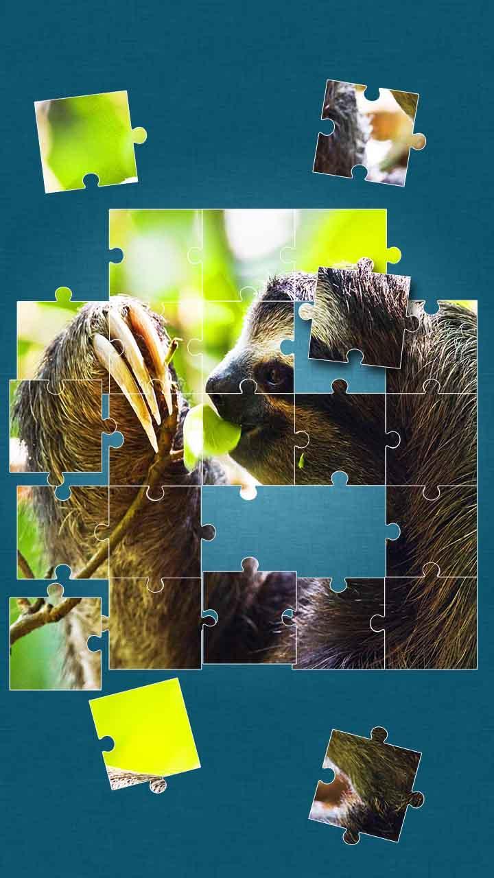 Jungle Animals Jigsaw Puzzle