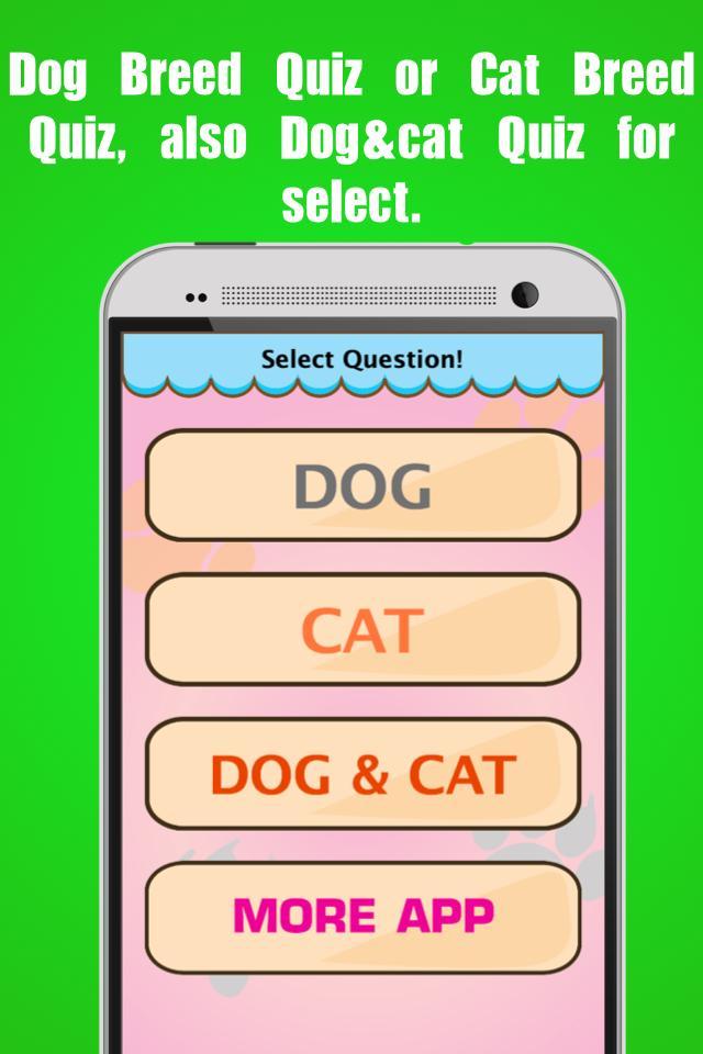 Dog Breed, Cat Breed Quiz