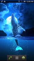 Whale Moon Trial