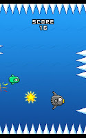 Jumping mola mola