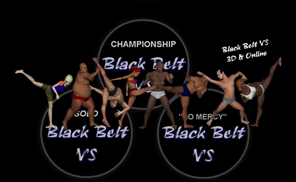 Black Belt VS, 3D online fight