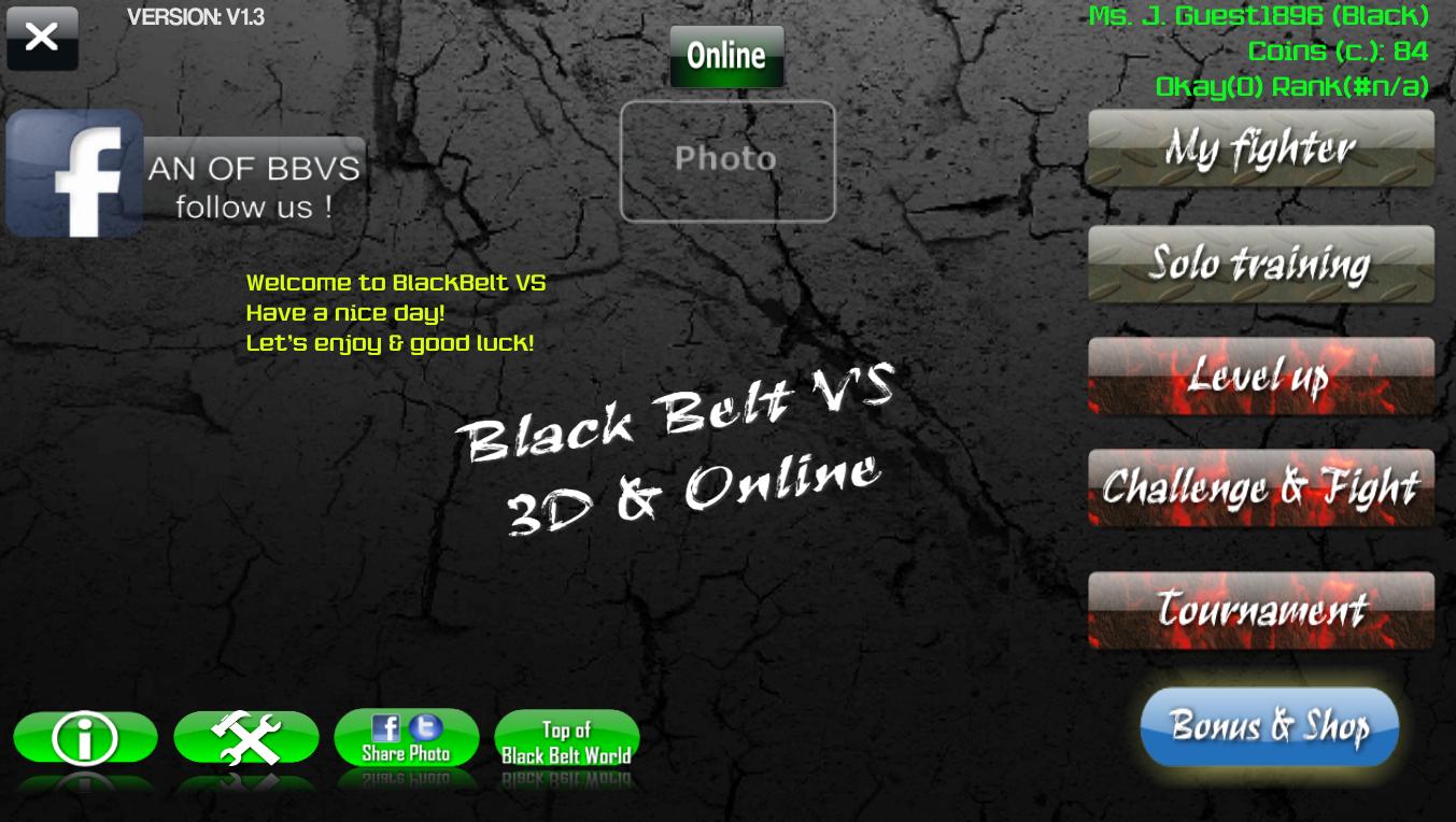 Black Belt VS, 3D online fight