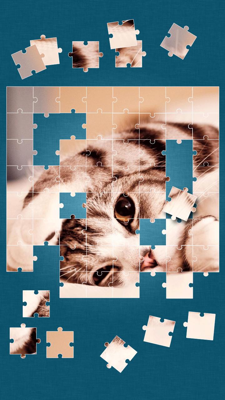 Cute Cats Jigsaw Puzzle