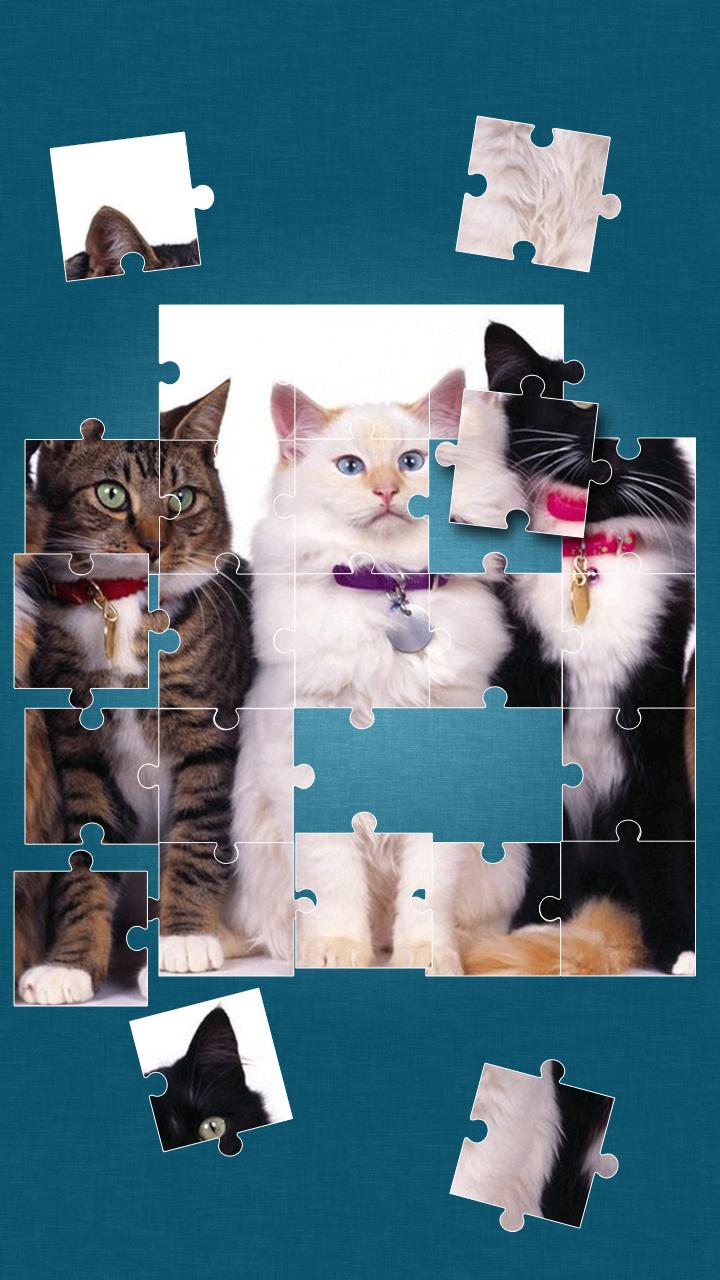 Cute Cats Jigsaw Puzzle