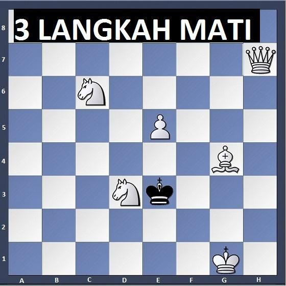 Catur 3 Langkah Mati