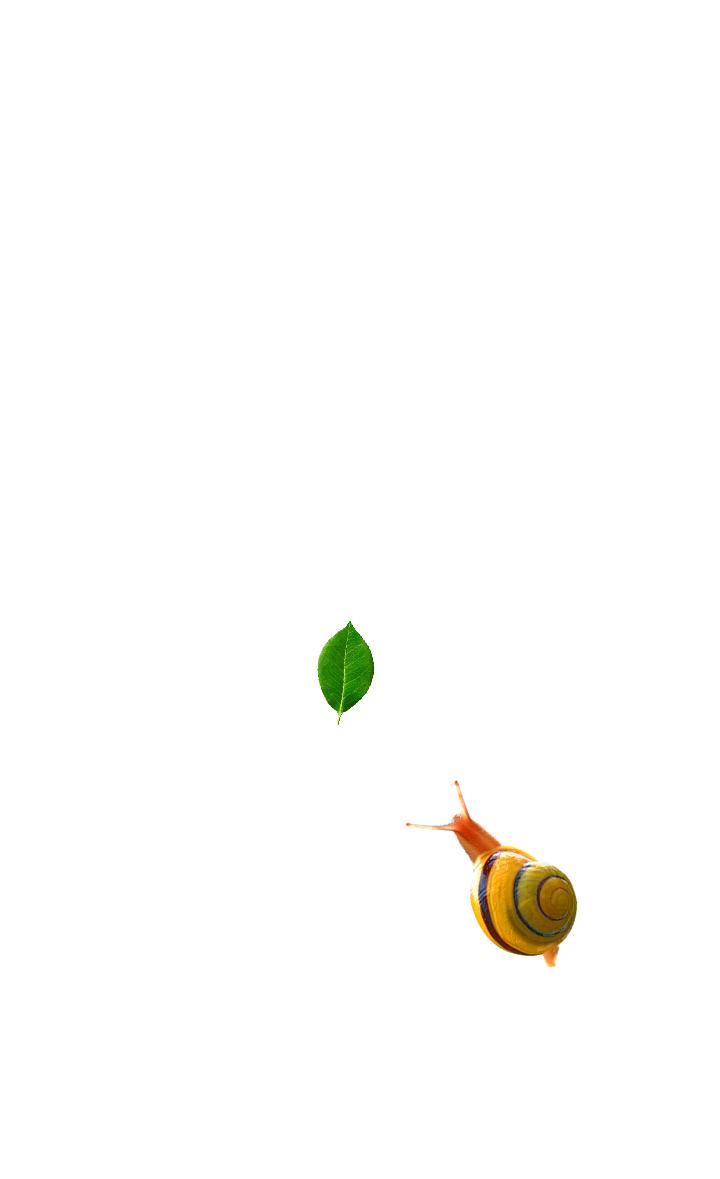 Snail simulator