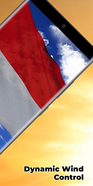 Indonesia Flag