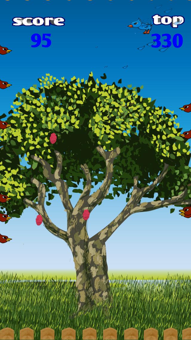 Berry Jay