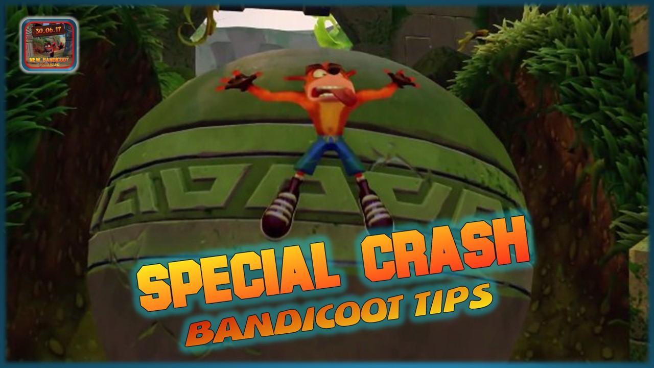 Special Crash Bandicoot Tips