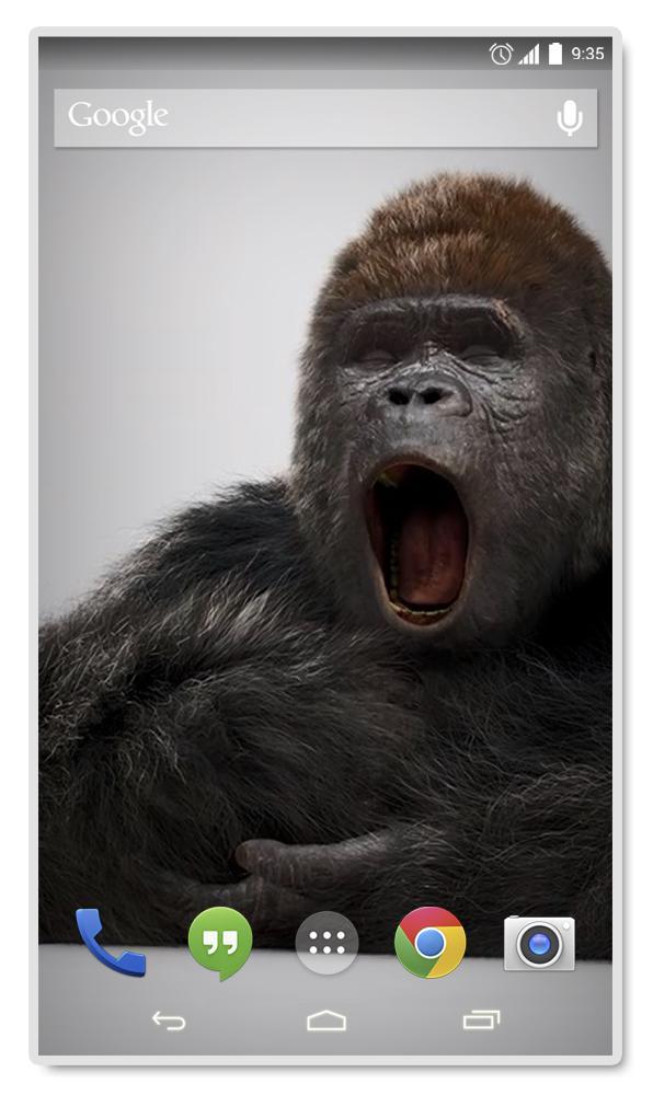 Home Monkey 3D Live Wallpaper