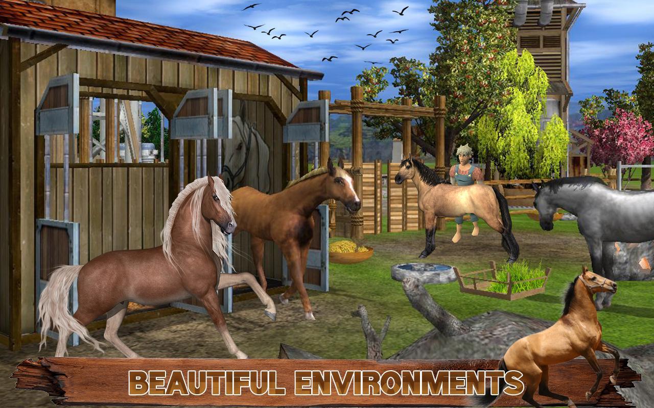 Horse Riding Adventure