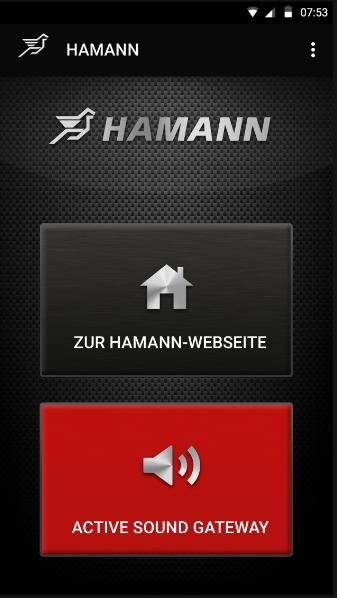 Hamann Motorsport