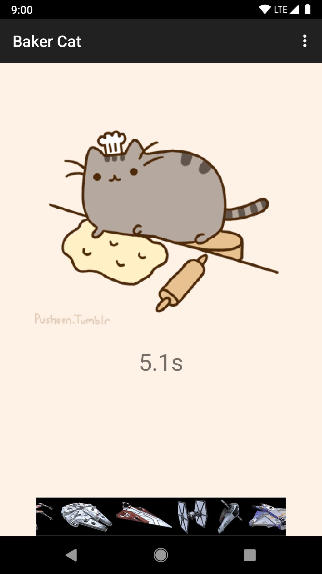 Baker Cat