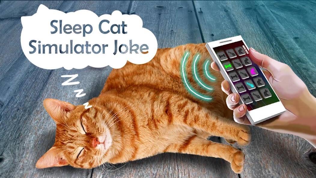 Sleep Cat Simulator Joke