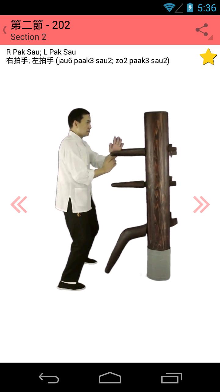Wing Chun Wooden Dummy Form