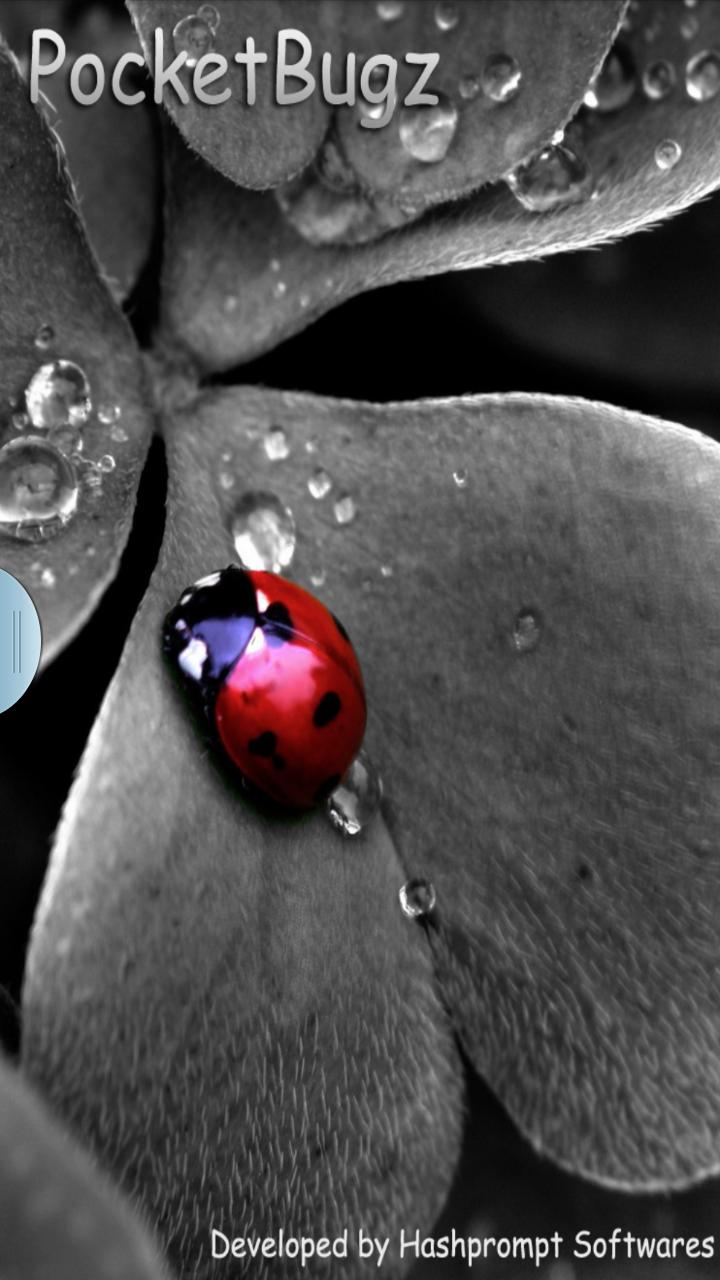 PocketBugz - Bugzilla Client