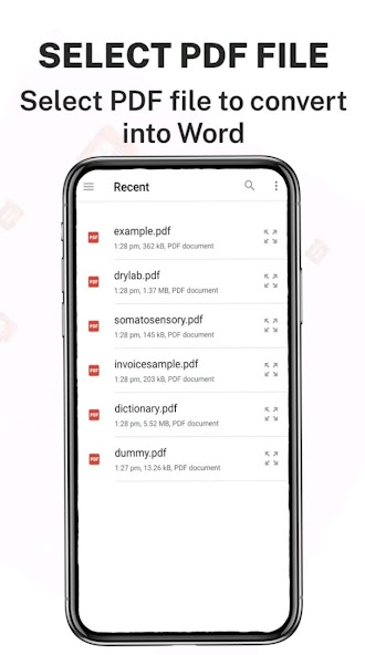 PDF to Word Converter