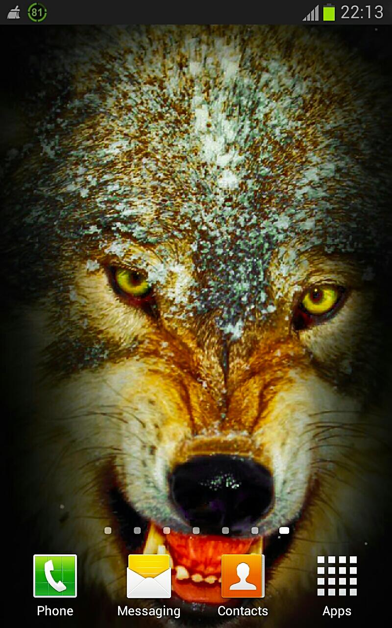 Wolf n Snowfall Live Wallpaper