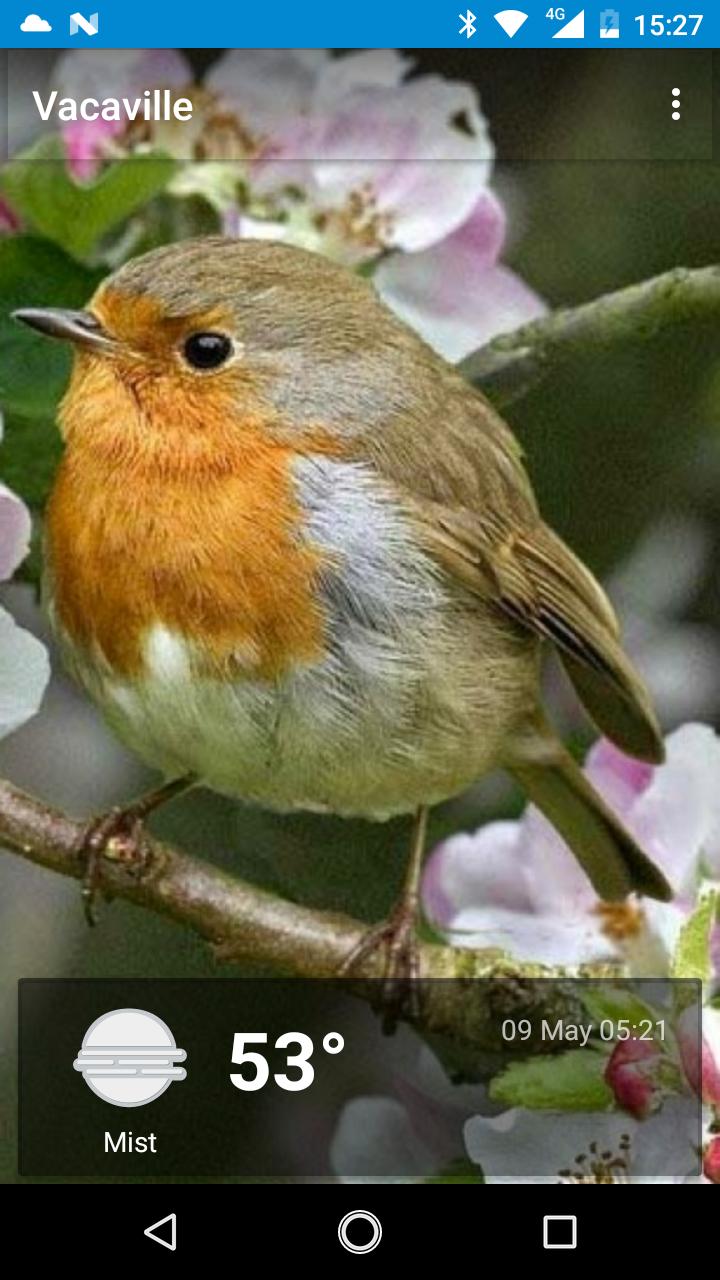 Vacaville, California - weather and more